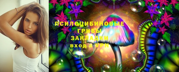a pvp Няндома