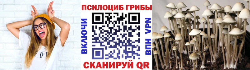 мега онион  закладки  Фурманов  Галлюциногенные грибы ЛСД 
