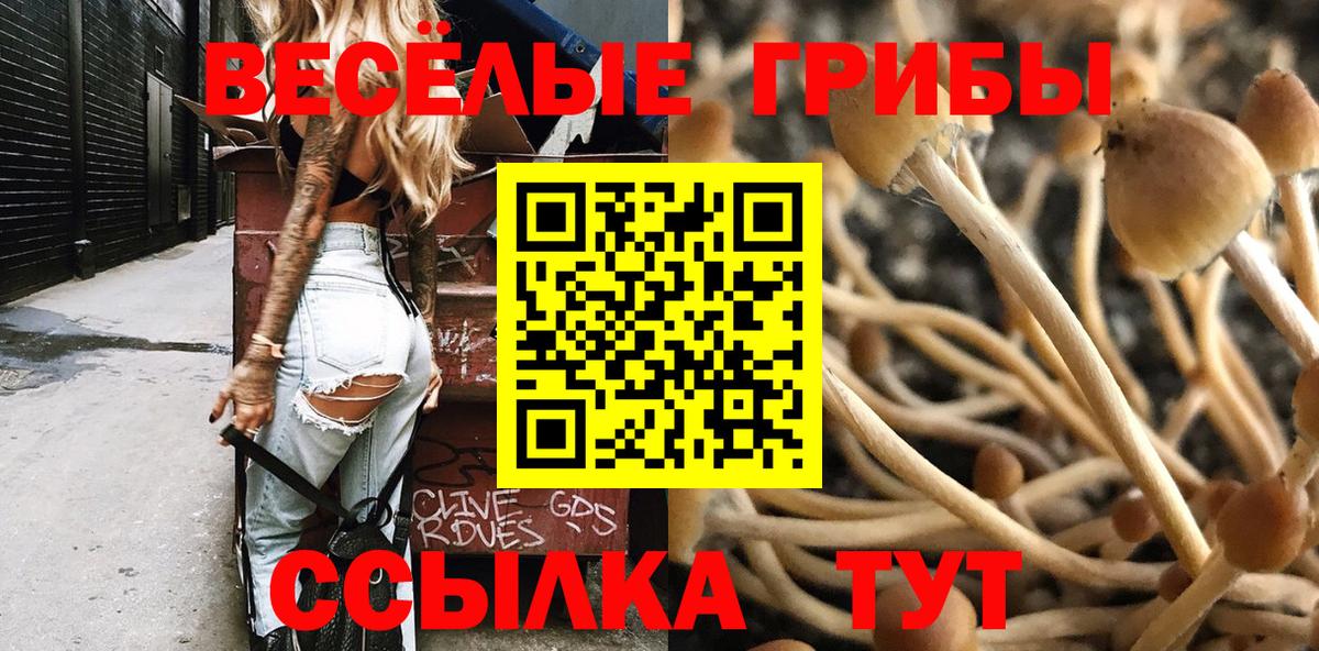 Псилоцибиновые грибы Magic Shrooms  Псилоцибиновые грибы мицелий  Фурманов  Вход с VPN 